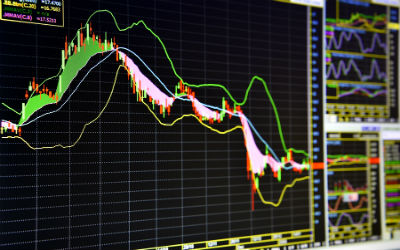 You dont need to walk forex alone…