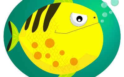 Pierre’s Fishy mid week update – 26 October 2016