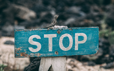 Live Session: Where to Place Stops Trading Forex