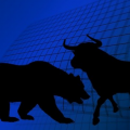 bull 800x450 1