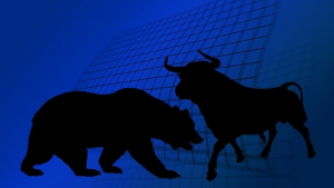 bull 800x450 1