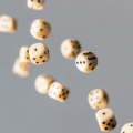 dice