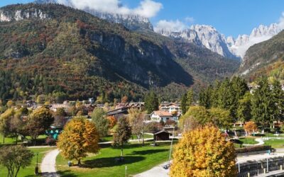 Coming Back From Italy to Plenty of Set ups