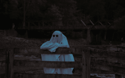 Forex Mentor Pro Blog Home 8 Hopefully Spookily Accurate :) Predictions for 2026