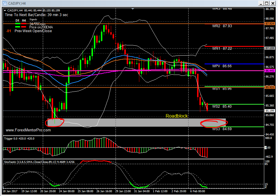 winning forex trades