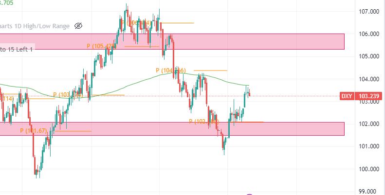 dxy 1