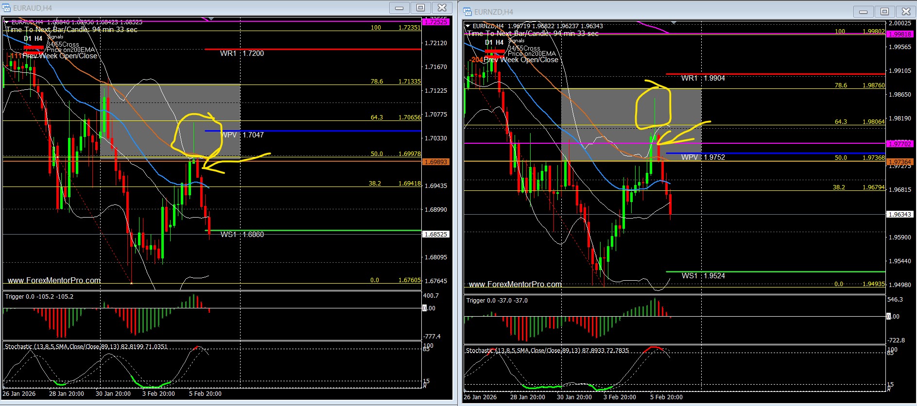 What do you mean - they look the same? 3 euroaussie.nzd