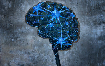 Stop Fighting Your Brain $29 book to Download Free