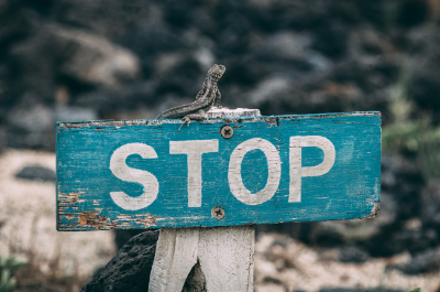 Live Session: Where to Place Stops Trading Forex