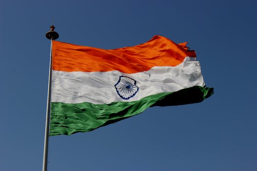 The Indian economy